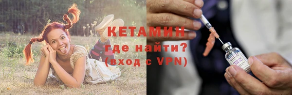 трава Арсеньев