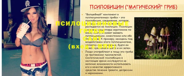 трава Арсеньев