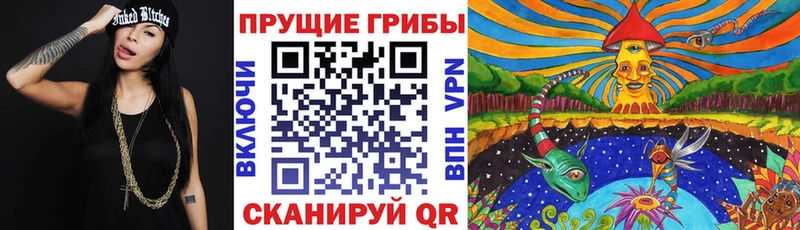 Галлюциногенные грибы MAGIC MUSHROOMS  где можно купить наркотик  Бавлы 